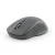 001.webp